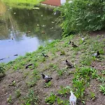 Apartman Centrum Park Komfort