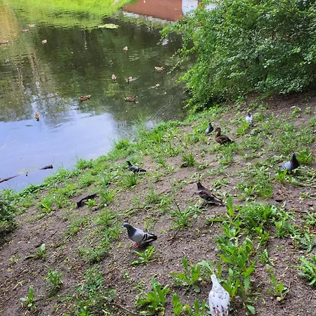 Διαμέρισμα Centrum Park Komfort